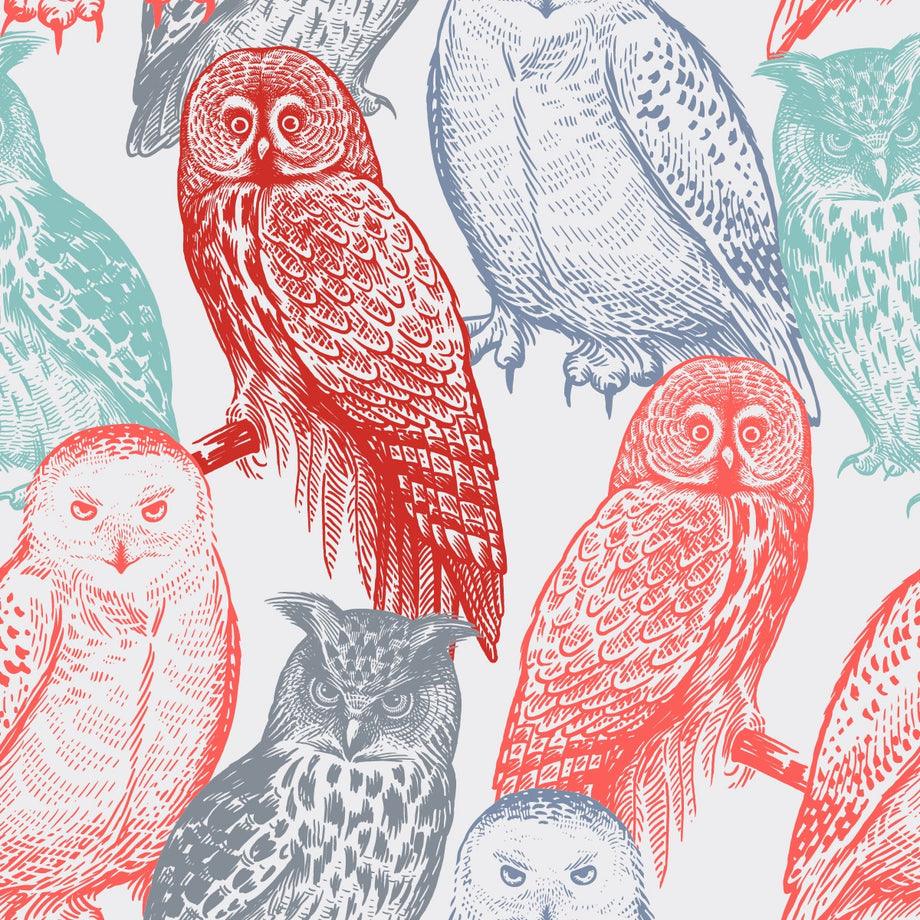 owls wallpaper for kids